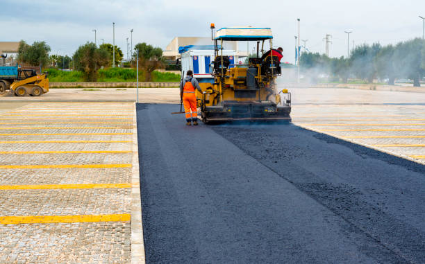 Best Custom Driveway Pavers  in Maury, NC